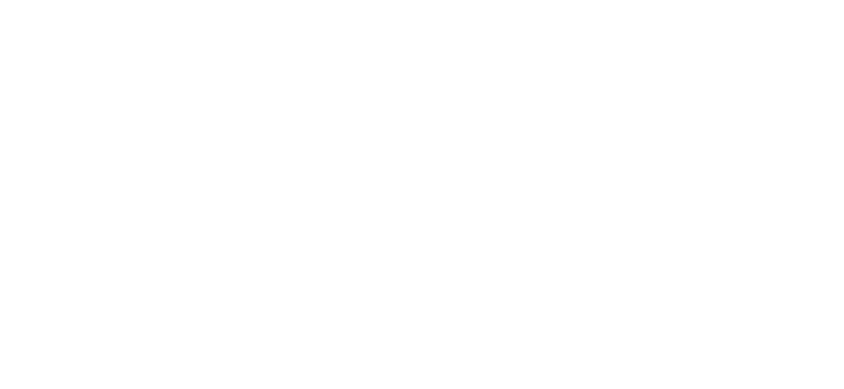 Co-organizer