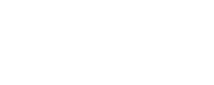 Co-organizer